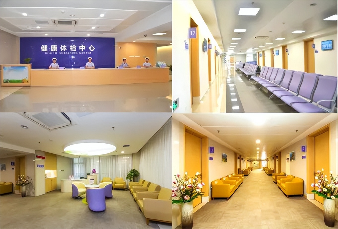 工程案例|佛山復星禪誠醫(yī)院——很多年以后,我還選鷹牌(圖7) 工程案例|佛山復星禪誠醫(yī)院——很多年以后,我還選鷹牌(圖7)